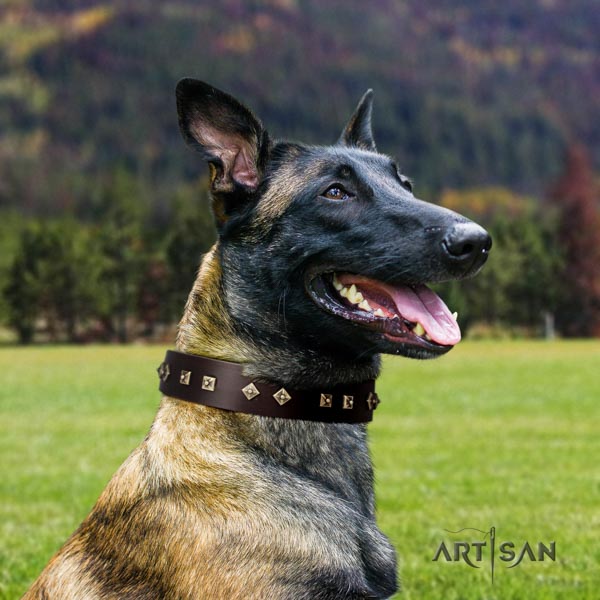 Belgian Malinois walking leather collar for your beautiful doggie