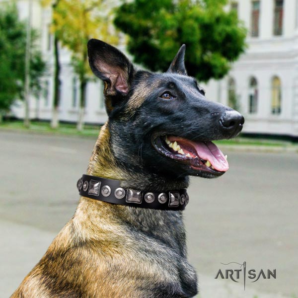 Belgian Malinois handy use full grain natural leather collar for your beautiful canine