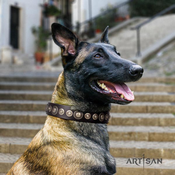 Belgian Malinois basic training genuine leather collar for your impressive doggie