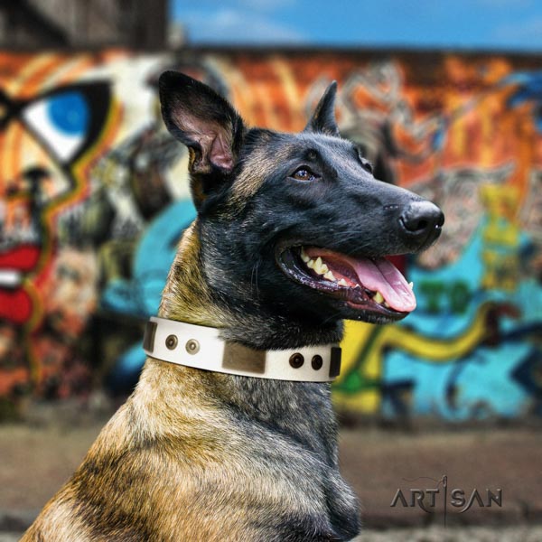 Belgian Malinois stylish walking leather collar for your stylish pet