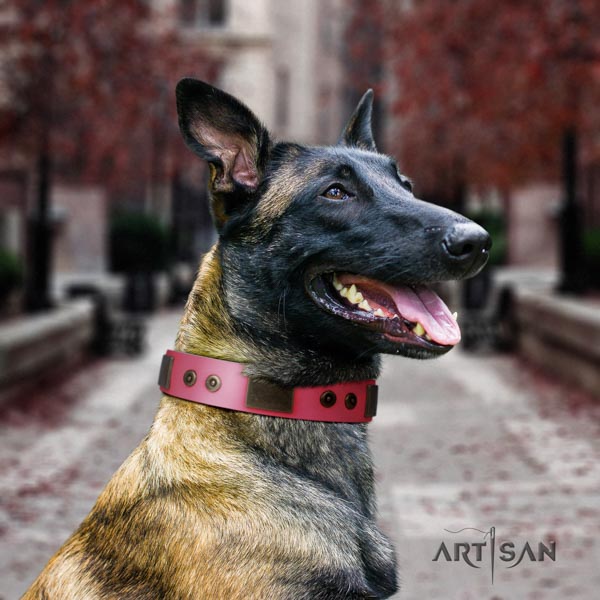 Belgian Malinois basic training natural leather collar for your impressive four-legged friend