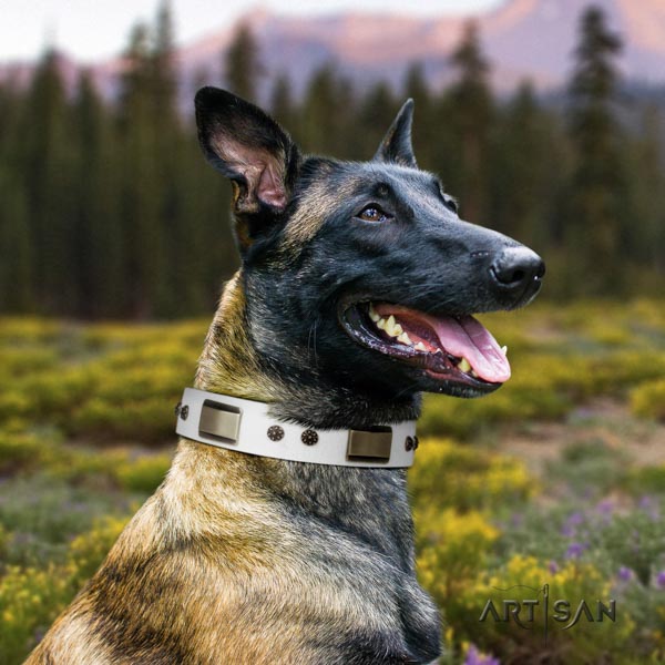 Belgian Malinois daily use genuine leather collar for your lovely dog