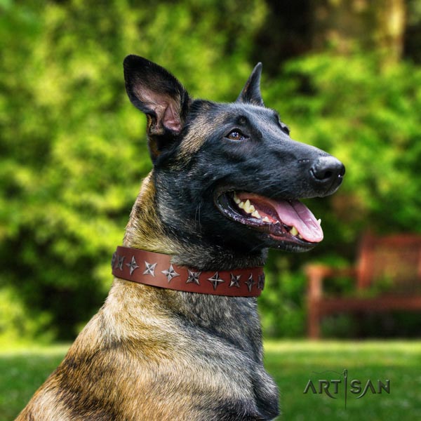 Belgian Malinois everyday use leather collar for your stylish pet