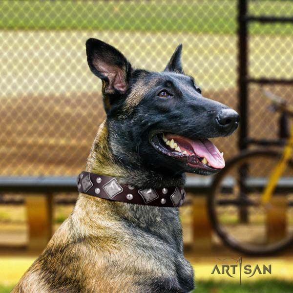 Belgian Malinois fancy walking full grain natural leather collar for your lovely canine