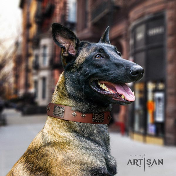 Belgian Malinois everyday use full grain natural leather collar for your impressive doggie