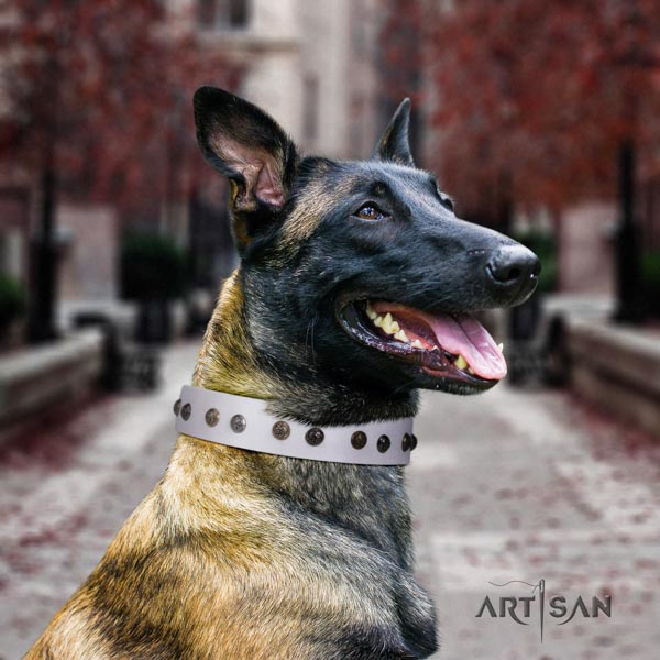 Belgian Malinois daily walking natural leather collar for your lovely canine