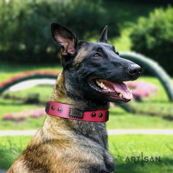 Belgian Malinois walking full grain leather collar for your stylish canine