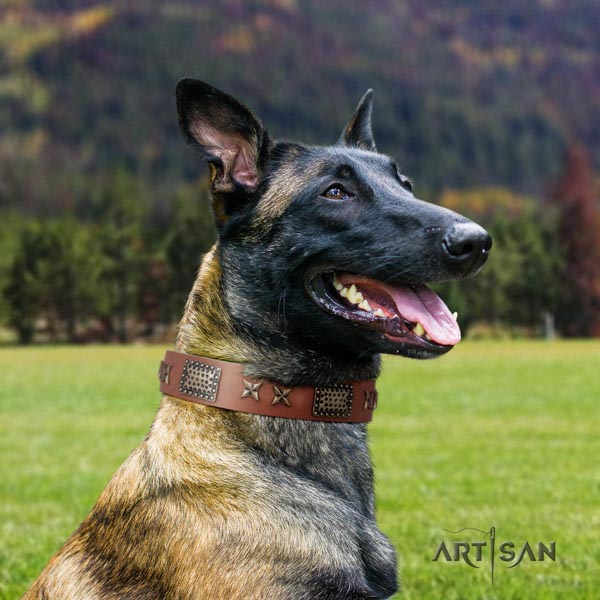 Belgian Malinois everyday use full grain genuine leather collar for your stylish canine