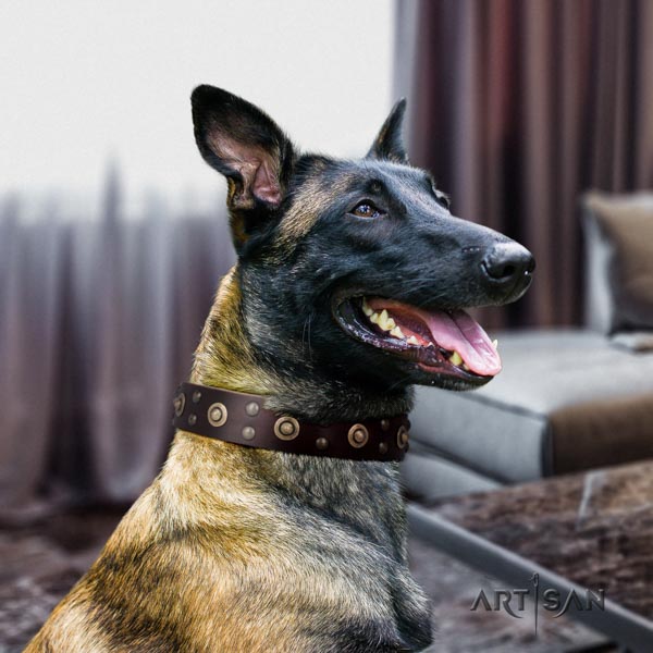 Belgian Malinois daily use full grain genuine leather collar for your stylish pet