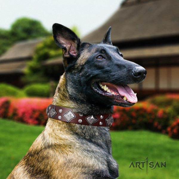 Belgian Malinois everyday use full grain genuine leather collar for your handsome doggie