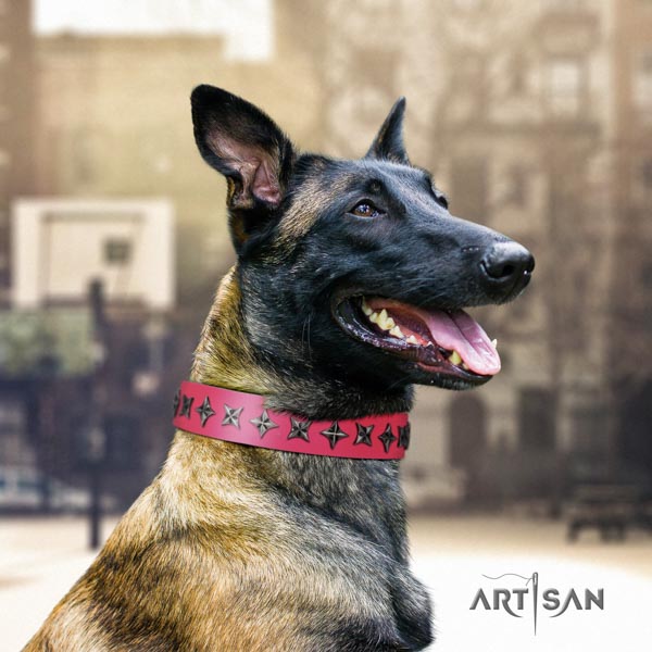Belgian Malinois easy wearing genuine leather collar for your impressive four-legged friend