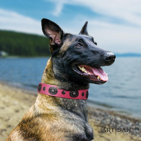 Belgian Malinois daily use natural leather collar for your handsome four-legged friend