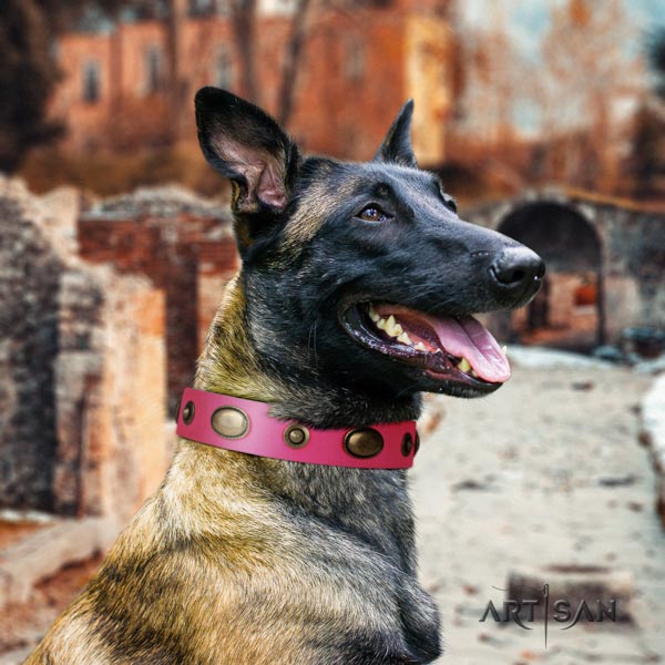 Belgian Malinois easy wearing leather collar for your lovely canine