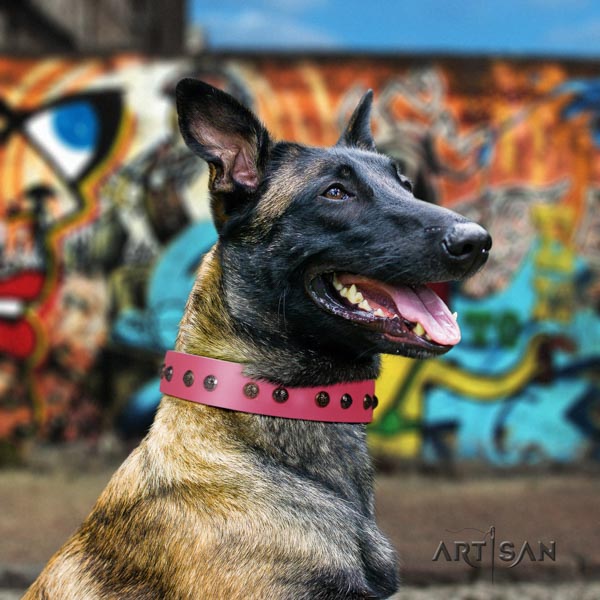 Belgian Malinois stylish walking full grain leather collar for your stylish dog