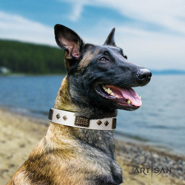Belgian Malinois comfy wearing full grain natural leather collar for your lovely doggie