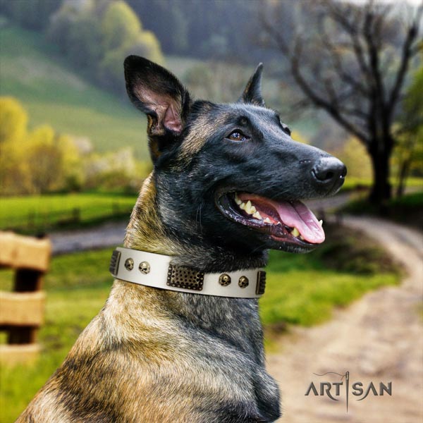 Belgian Malinois handy use leather collar for your lovely dog
