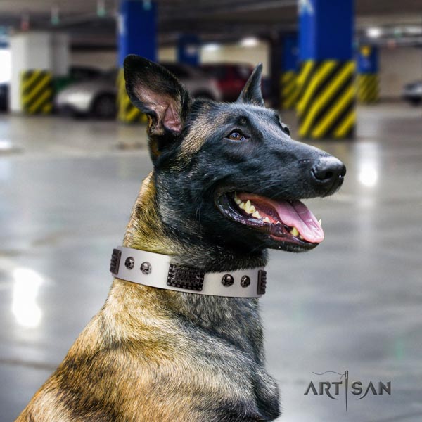 Belgian Malinois daily use natural leather collar for your beautiful dog