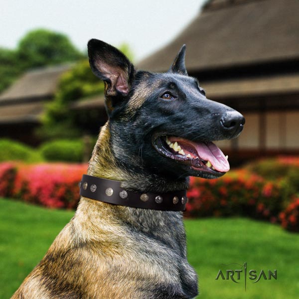 Belgian Malinois everyday walking leather collar for your beautiful canine