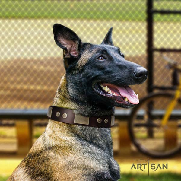 Belgian Malinois daily walking natural leather collar for your stylish pet