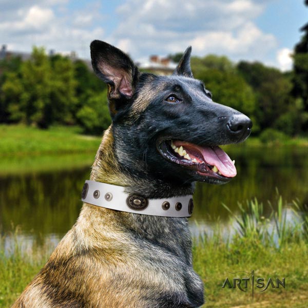 Belgian Malinois stylish walking leather collar for your beautiful doggie
