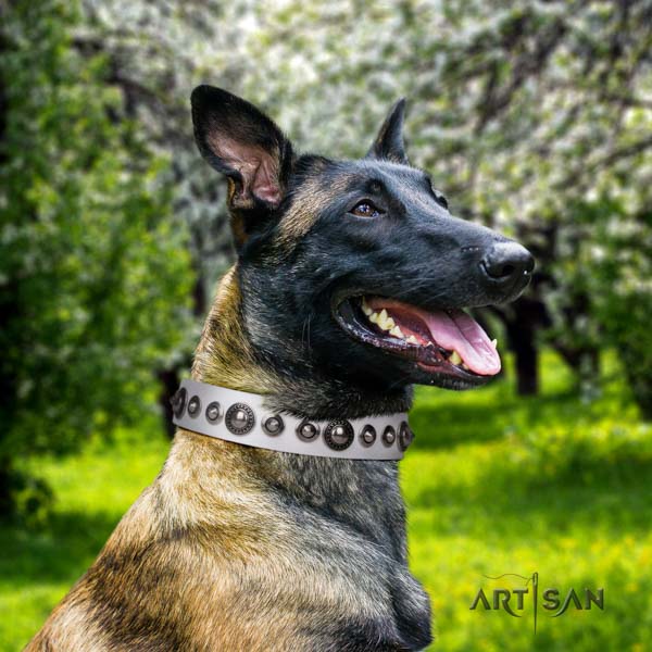 Belgian Malinois stylish walking full grain natural leather collar for your handsome doggie