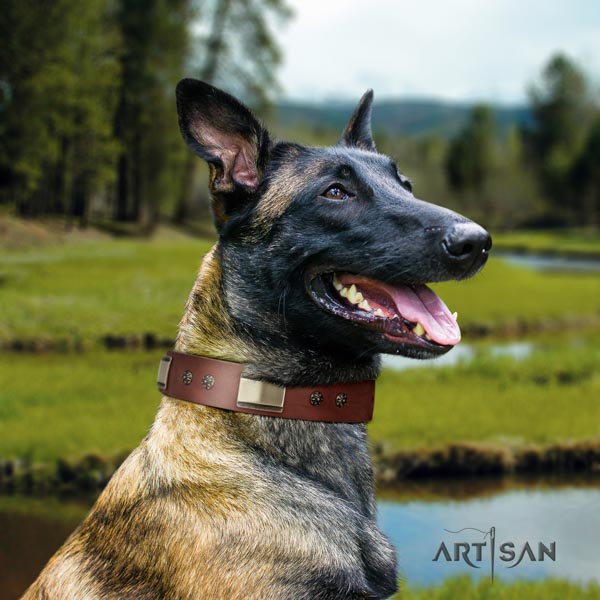 Belgian Malinois daily walking natural leather collar for your handsome four-legged friend