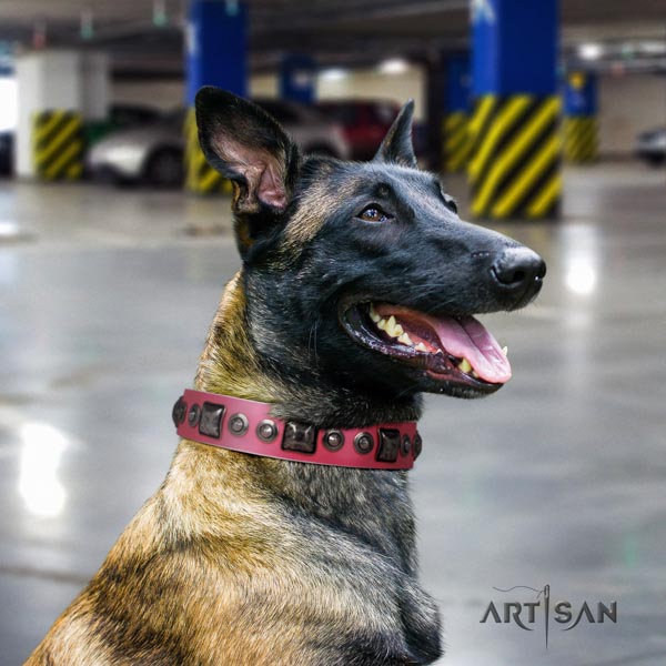 Belgian Malinois fancy walking natural leather collar for your lovely pet