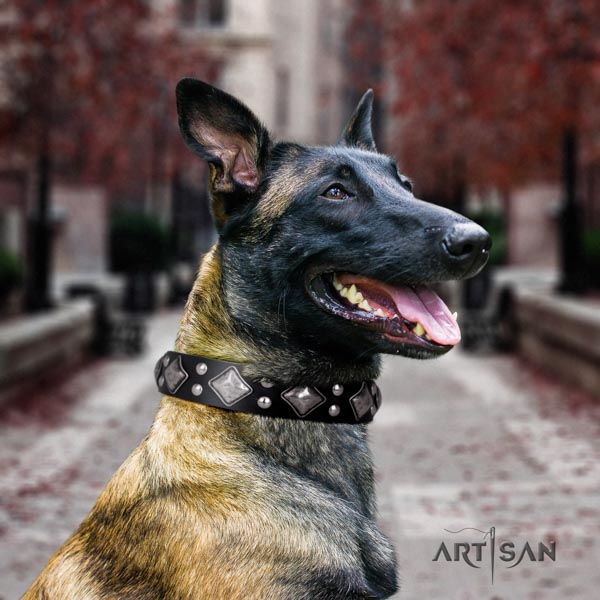 Belgian Malinois basic training leather collar for your beautiful pet