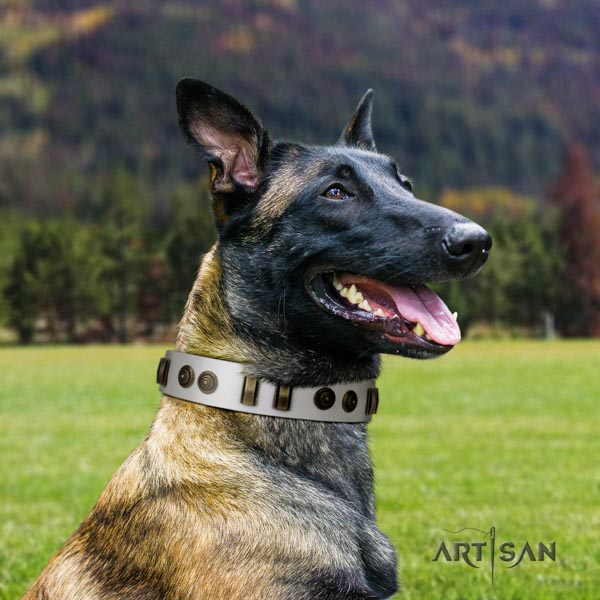Belgian Malinois handy use genuine leather collar for your handsome pet