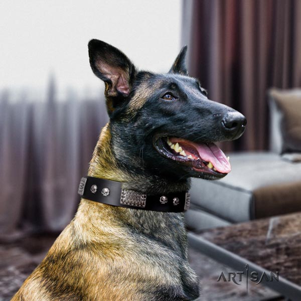 Belgian Malinois fancy walking genuine leather collar for your handsome dog