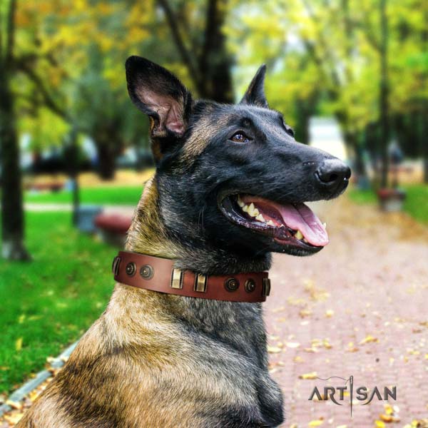 Belgian Malinois fancy walking full grain leather collar for your impressive pet