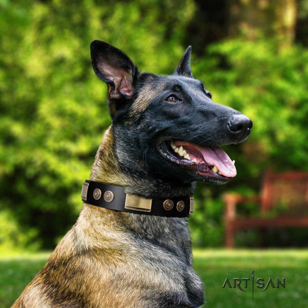 Belgian Malinois daily use full grain natural leather collar for your beautiful pet