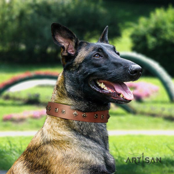 Belgian Malinois everyday use leather collar for your lovely four-legged friend