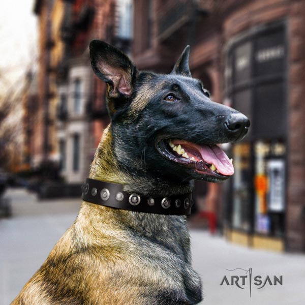 Belgian Malinois fancy walking full grain genuine leather collar for your attractive pet