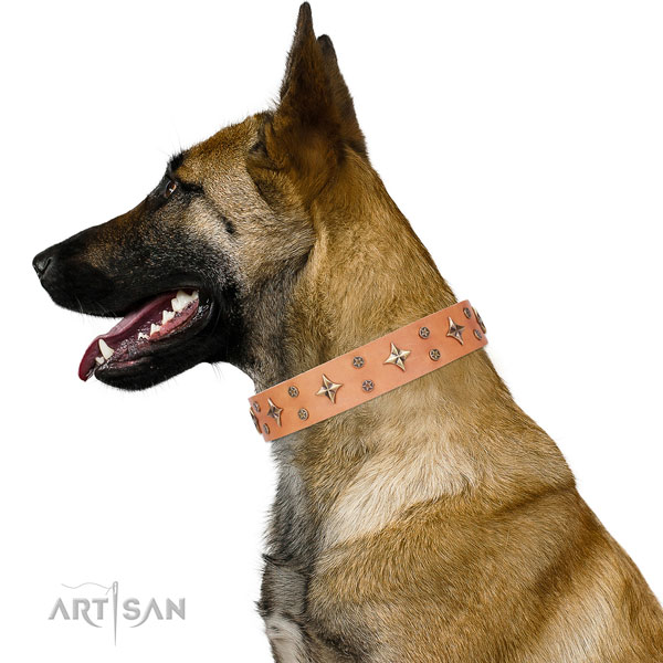 Belgian Malinois natural genuine leather collar with rust-proof fittings for easy wearing