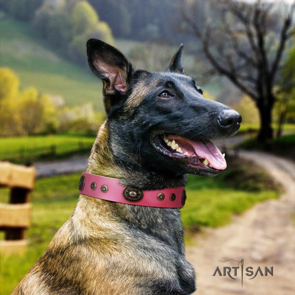 Belgian Malinois everyday walking full grain natural leather collar for your stylish pet