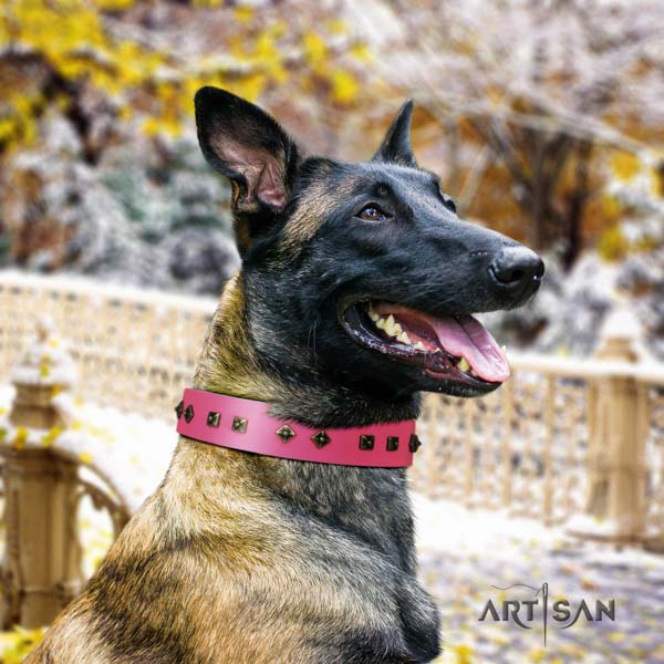 Belgian Malinois walking full grain natural leather collar for your handsome dog