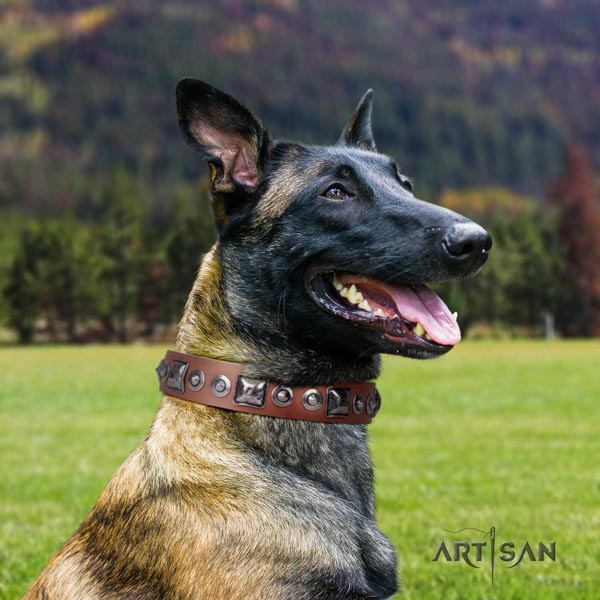 Belgian Malinois easy wearing genuine leather collar for your stylish canine