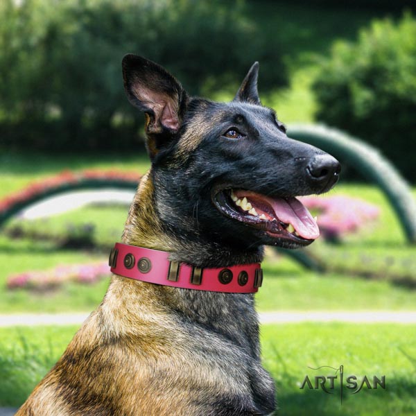 Belgian Malinois basic training full grain genuine leather collar for your impressive dog