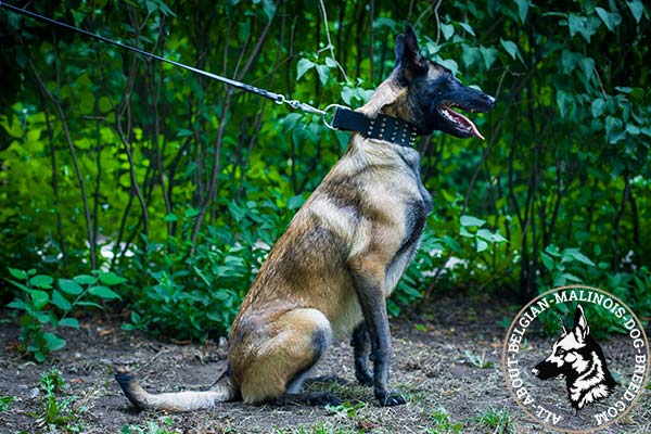 Handmade Belgian Malinois leather collar