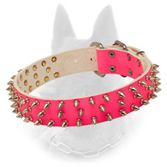 Leather Belgian Malinois Collar in Trendy Color