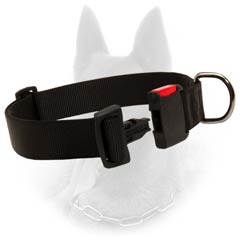 Malinois Dog Collar With D-Ring, Quick Release Buckle And Tri-Glide
