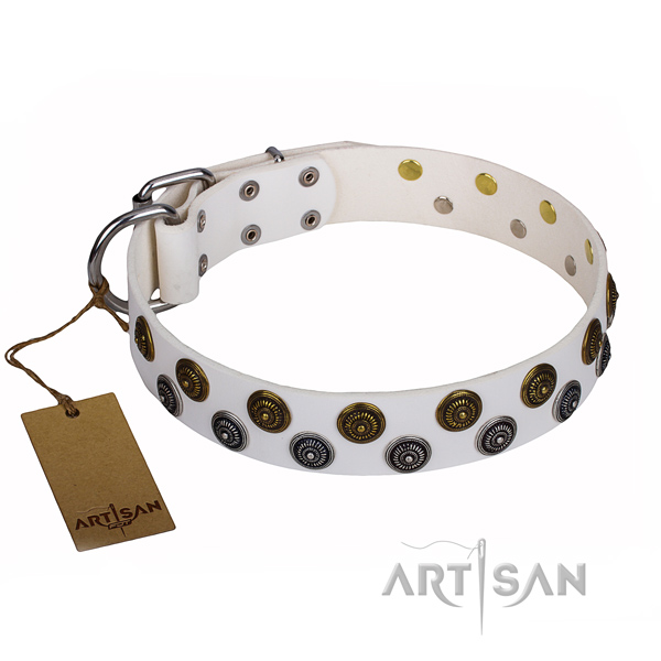Amazing natural genuine leather dog collar for walking