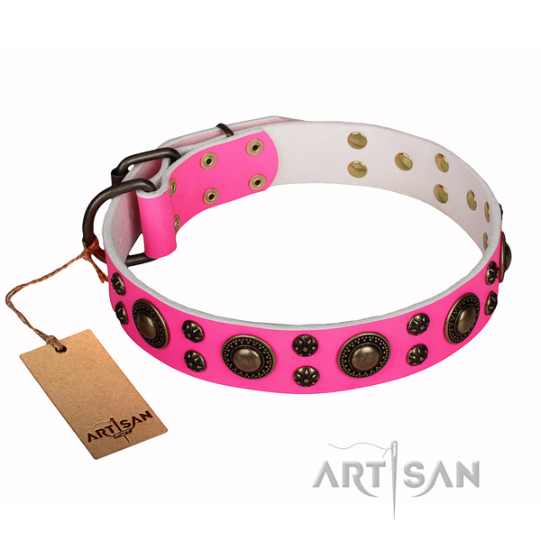 Daily walking full grain leather collar with embellishments for your pet