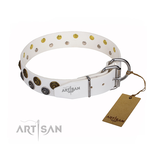 Stylish walking full grain genuine leather collar with adornments for your canine