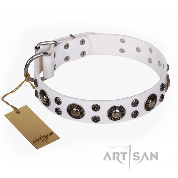 Exceptional full grain leather dog collar for stylish walking