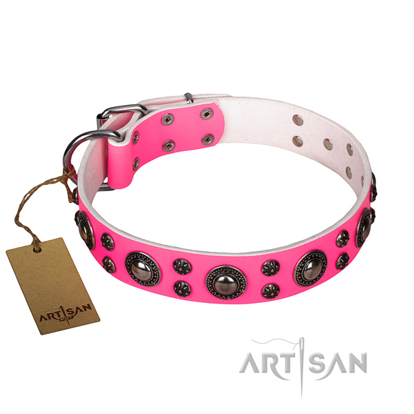 Extraordinary full grain genuine leather dog collar for walking