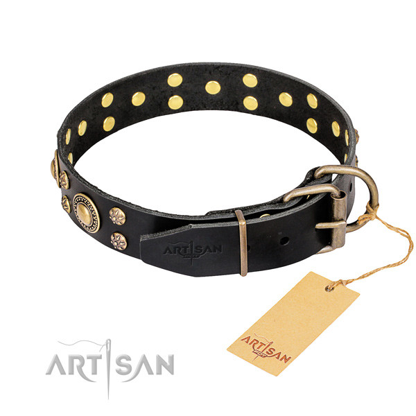 Everyday walking leather collar with adornments for your pet