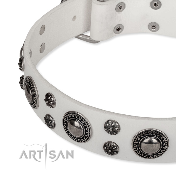Daily use full grain leather collar with rust resistant buckle and D-ring