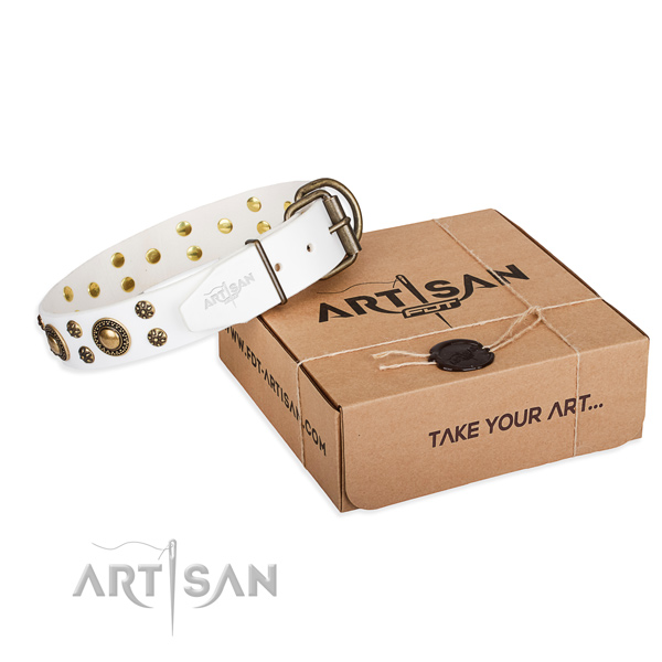 Full grain leather dog collar with studs for walking